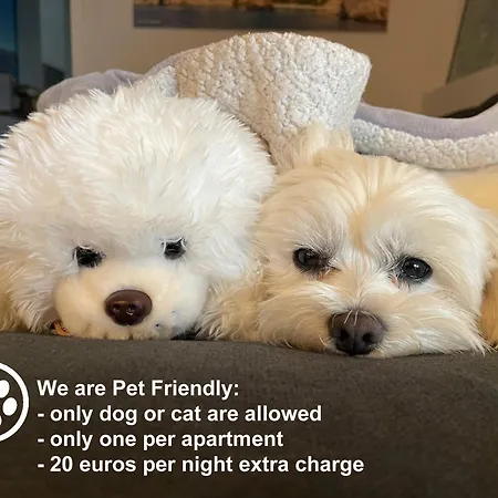 Monika & Breakfast Baskets 145 アパート